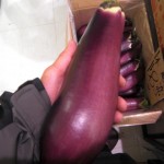 cimg0124