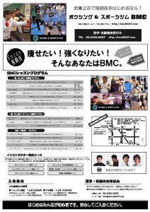 2011新聞折込チラシai