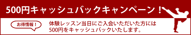 500円キャッシュバックキャンペーン!
