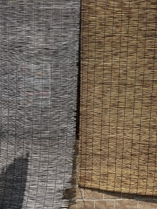 IMG_5329